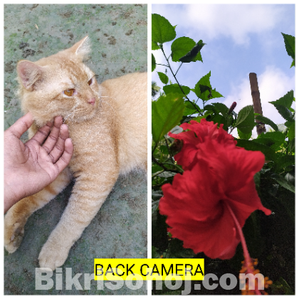 REDMI NOTE 7s